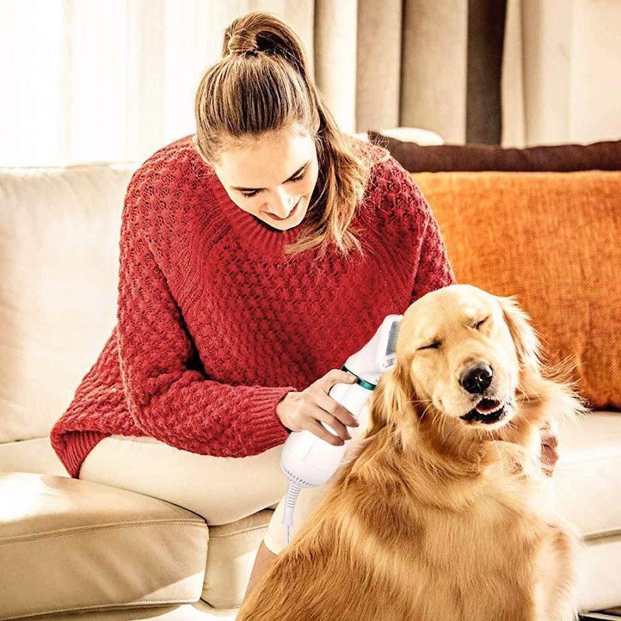 Perie cu Uscător pentru Îngrijirea Animalelor, Pet Grooming Dryer